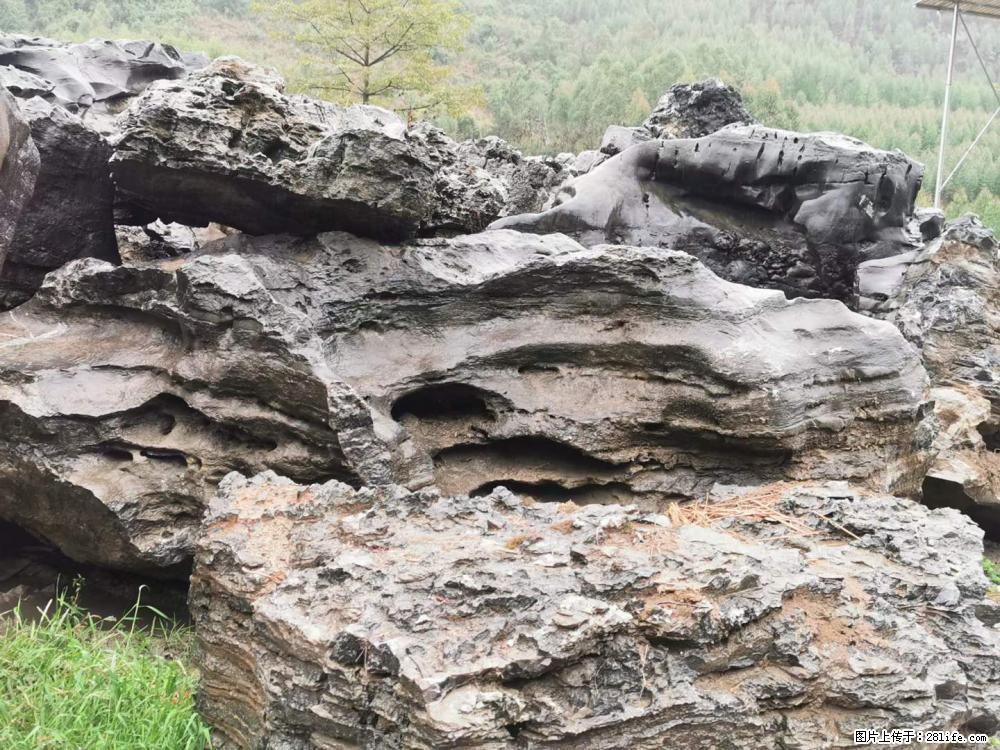 风景石、假山石大量有货，有需要的欢迎联系 - 新手上路 - 馆陶生活社区 - 馆陶28生活网 guantao.28life.net