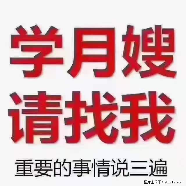 为什么要学习月嫂，育婴师？ - 其他广告 - 广告专区 - 馆陶分类信息 - 馆陶28生活网 guantao.28life.net