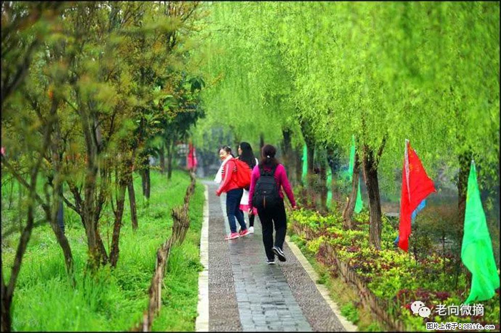 【春天，广西桂林灌阳县向您发出邀请！】江口老街又逢春 - 游山玩水 - 馆陶生活社区 - 馆陶28生活网 guantao.28life.net
