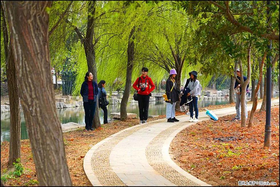 【春天，广西桂林灌阳县向您发出邀请！】江口老街又逢春 - 游山玩水 - 馆陶生活社区 - 馆陶28生活网 guantao.28life.net