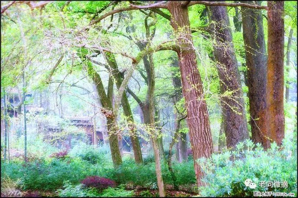 【春天，广西桂林灌阳县向您发出邀请！】在小龙村与春天约会 - 游山玩水 - 馆陶生活社区 - 馆陶28生活网 guantao.28life.net
