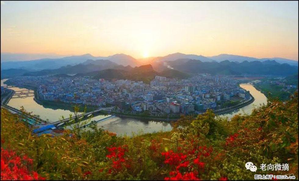 【春天，广西桂林灌阳县向您发出邀请！】登麒麟山，相约映山红 - 游山玩水 - 馆陶生活社区 - 馆陶28生活网 guantao.28life.net