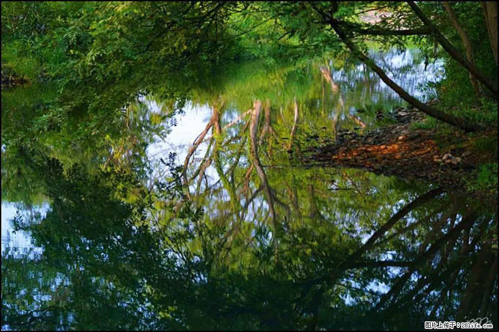 【春天，广西桂林灌阳县向您发出邀请！】熊家寨湿地公园 - 游山玩水 - 馆陶生活社区 - 馆陶28生活网 guantao.28life.net