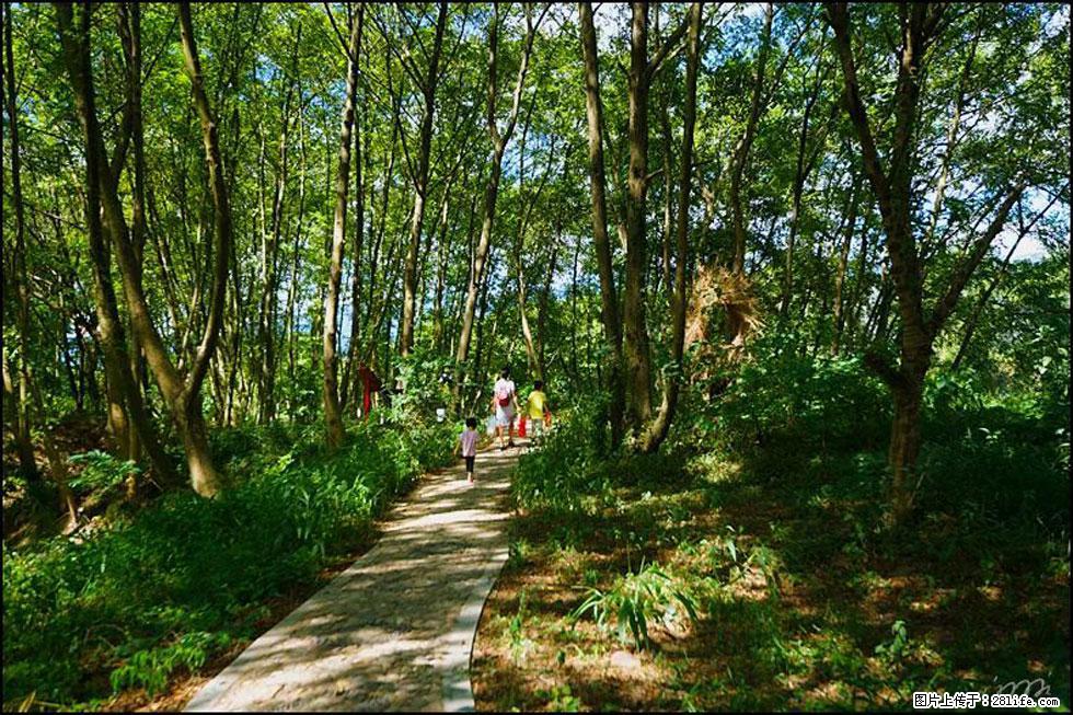 【春天，广西桂林灌阳县向您发出邀请！】熊家寨湿地公园 - 游山玩水 - 馆陶生活社区 - 馆陶28生活网 guantao.28life.net