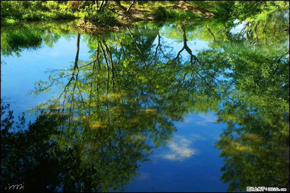 【春天，广西桂林灌阳县向您发出邀请！】熊家寨湿地公园 - 游山玩水 - 馆陶生活社区 - 馆陶28生活网 guantao.28life.net