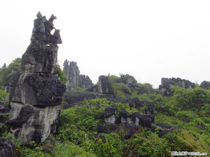 桂林旅游名城景点：灌阳文市石林 - 游山玩水 - 馆陶生活社区 - 馆陶28生活网 guantao.28life.net