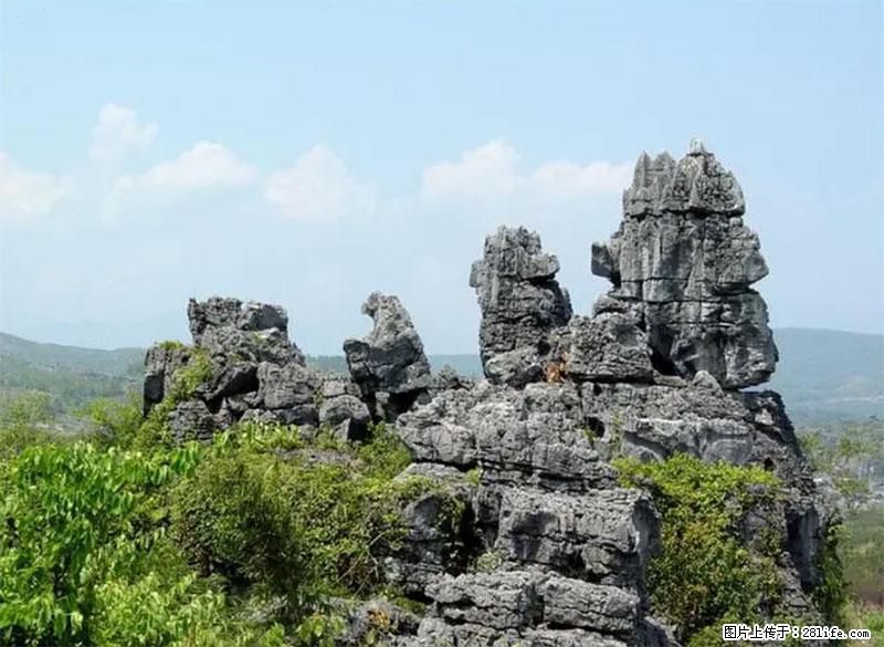 桂林旅游名城景点：灌阳文市石林 - 游山玩水 - 馆陶生活社区 - 馆陶28生活网 guantao.28life.net