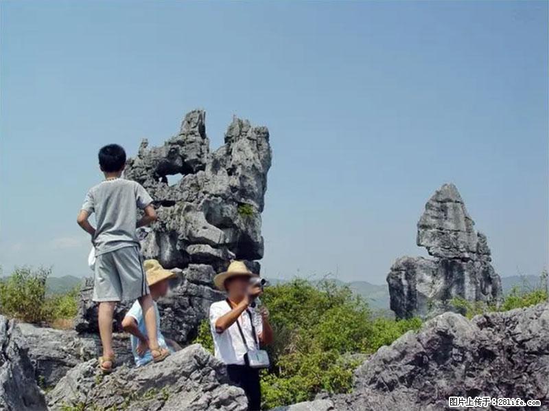桂林旅游名城景点：灌阳文市石林 - 游山玩水 - 馆陶生活社区 - 馆陶28生活网 guantao.28life.net
