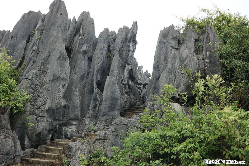 桂林旅游名城景点：灌阳文市石林 - 游山玩水 - 馆陶生活社区 - 馆陶28生活网 guantao.28life.net