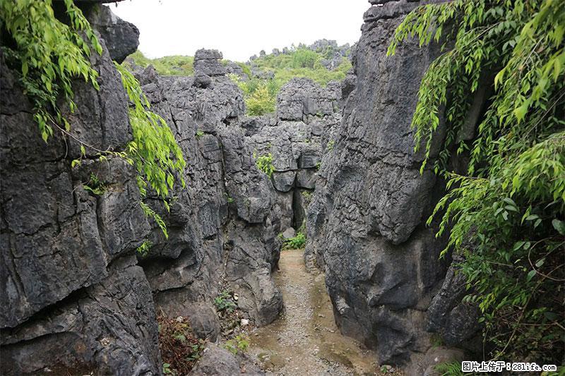 桂林旅游名城景点：灌阳文市石林 - 游山玩水 - 馆陶生活社区 - 馆陶28生活网 guantao.28life.net