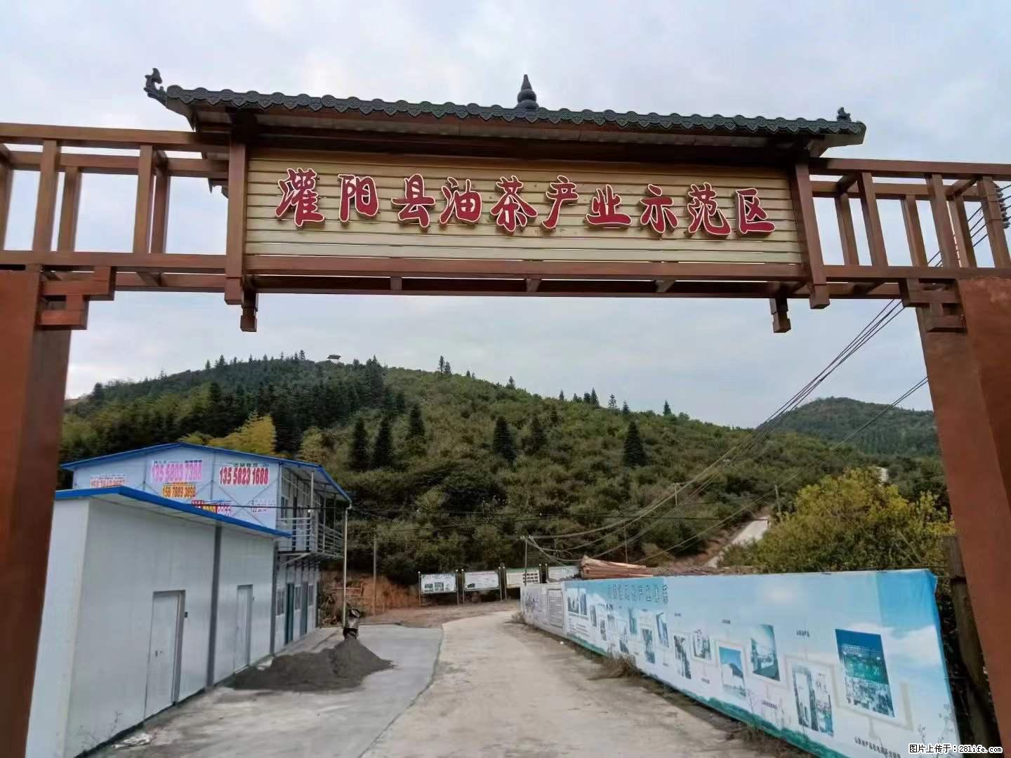 【灌阳县油茶产业示范区】一个有着充实的精神生活的人，对待身外之物自会有一种淡泊的态度 - 土特产 - 饮食特产 - 馆陶分类信息 - 馆陶28生活网 guantao.28life.net