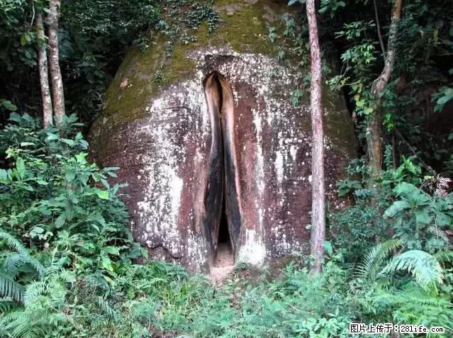 让人脸红的流氓景点，大自然真的有点色 - 灌水专区 - 馆陶生活社区 - 馆陶28生活网 guantao.28life.net
