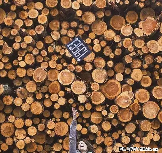 辞掉工作周游世界？现在他们在洗厕所…… - 游山玩水 - 馆陶生活社区 - 馆陶28生活网 guantao.28life.net