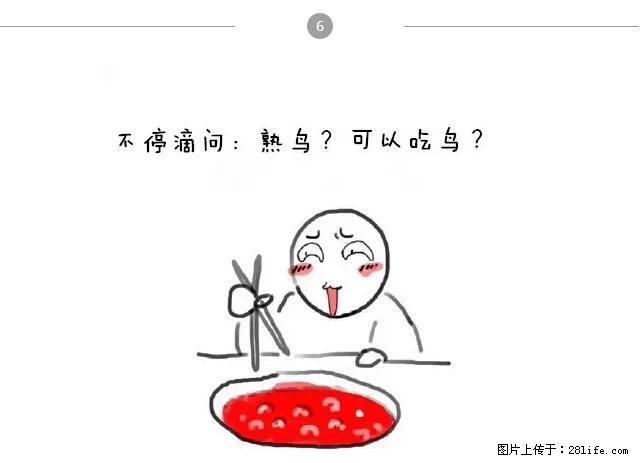 千万不要和这9种哈卵一起吃火锅！ - 美食天地 - 馆陶生活社区 - 馆陶28生活网 guantao.28life.net