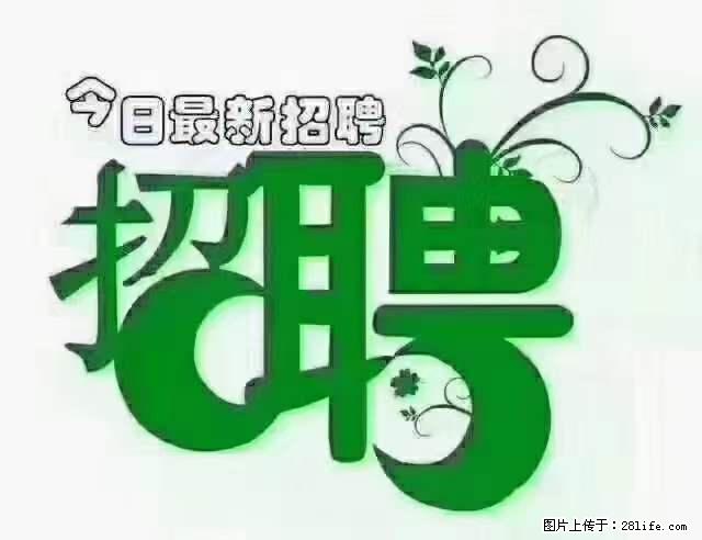 【招聘】产康师 - 职场交流 - 馆陶生活社区 - 馆陶28生活网 guantao.28life.net