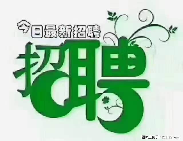 上海隔离酒店招人：55岁以下 男女不限 - 职场交流 - 馆陶生活社区 - 馆陶28生活网 guantao.28life.net