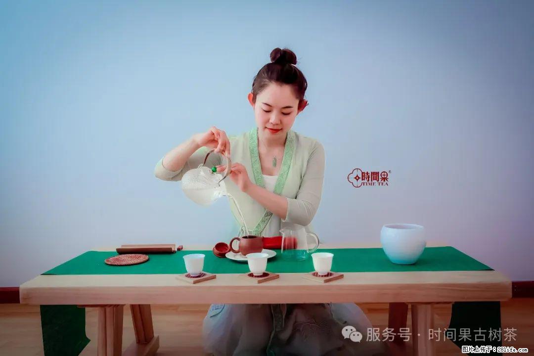 时间果百年古树龙珠普洱生茶 - 购物交流 - 馆陶生活社区 - 馆陶28生活网 guantao.28life.net