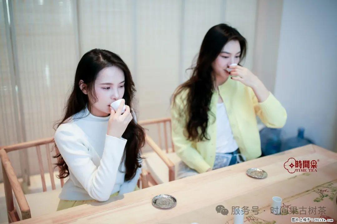 时间果百年古树龙珠普洱生茶 - 购物交流 - 馆陶生活社区 - 馆陶28生活网 guantao.28life.net