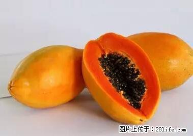 晕车、脚气、牙齿变黄、皮肤粗糙？学会这些三分钟搞定！ - 馆陶生活资讯 - 馆陶28生活网 guantao.28life.net