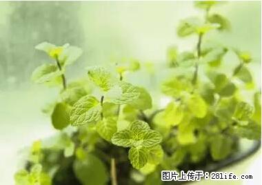 晕车、脚气、牙齿变黄、皮肤粗糙？学会这些三分钟搞定！ - 馆陶生活资讯 - 馆陶28生活网 guantao.28life.net