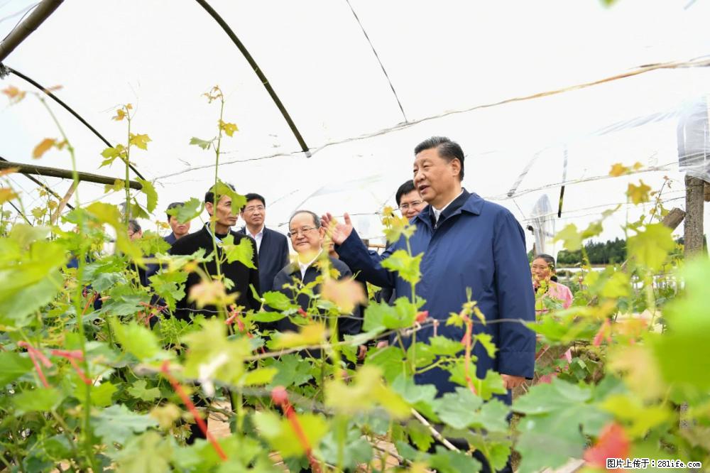 习近平赴广西考察调研 - 馆陶生活资讯 - 馆陶28生活网 guantao.28life.net