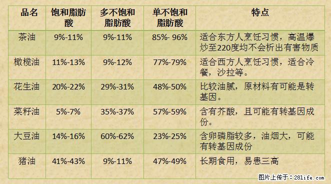 揭秘茶油的5大核心营养成分！被称为人体健康的“守护盾”！ - 馆陶生活资讯 - 馆陶28生活网 guantao.28life.net