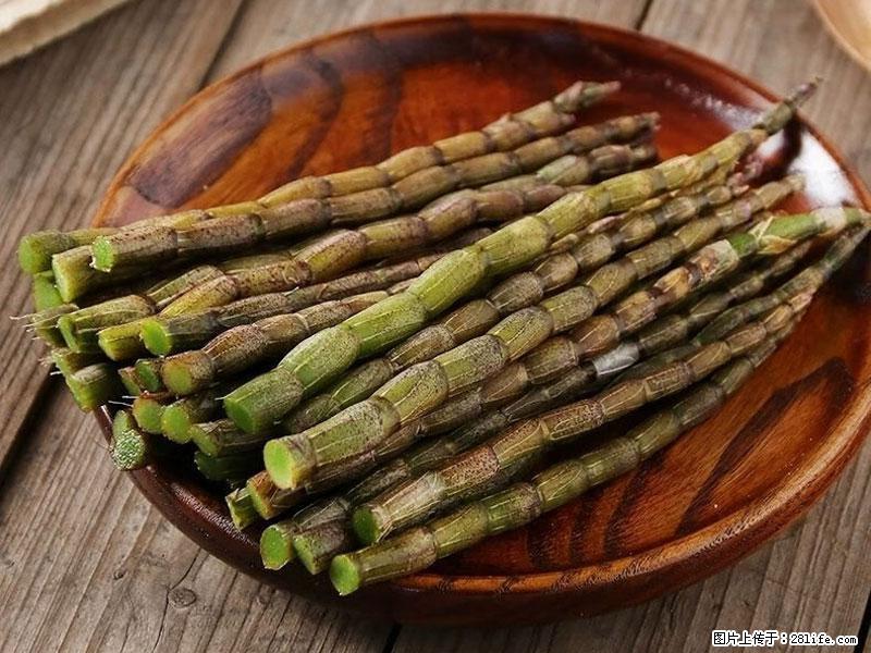 铁皮石斛的作用与功能主治 - 馆陶生活资讯 - 馆陶28生活网 guantao.28life.net