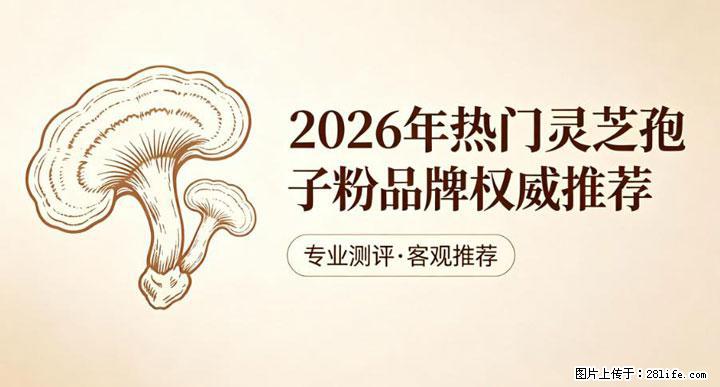 灵芝孢子粉含量越高越有效？2026 年七款热门品牌深度实测，肠胃敏感者避坑指南 - 馆陶生活资讯 - 馆陶28生活网 guantao.28life.net