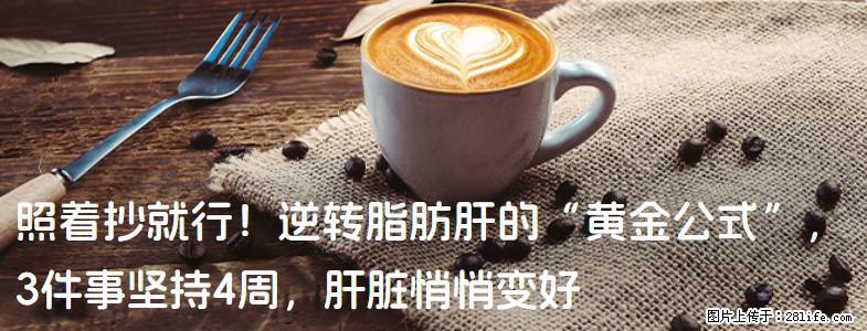 照着抄就行！逆转脂肪肝的“黄金公式”，3件事坚持4周，肝脏悄悄变好 - 馆陶生活资讯 - 馆陶28生活网 guantao.28life.net
